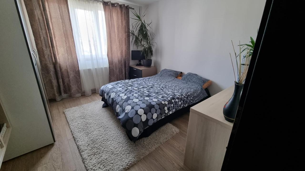 Rasnov Loft Apartment Ngoại thất bức ảnh